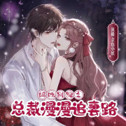妈咪别跑-总裁漫漫追妻路--金色小妖-