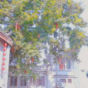 相识--星然-