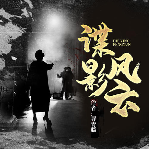 谍影风云|谍战风云|潜伏追凶|智斗敌特|热血报国