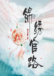 锦绣官路-佚名-书懿