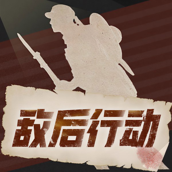 敌后行动|精品评书