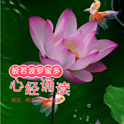 心经|虔诚诵读般若波罗密多心经-佚名-晴儿爱智