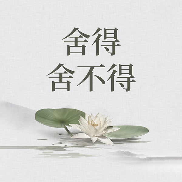舍得舍不得：人一辈子的修行课