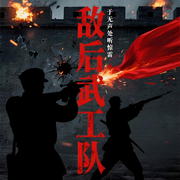 敌后武工队：暗夜中的尖刀|精品多人有声书-冯志-顾16