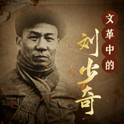 文革中的刘少奇|刘少奇下台真相，刘少奇为何被打倒，刘少奇冤死始末--喜马拉雅