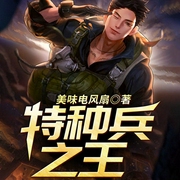 特种兵之王-美味电风扇-QY看书网，懒人740881041