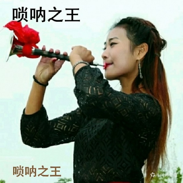 唢呐之王