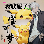 我收服了宝可梦-侵掠如火-晨曦入梦来_次元口袋