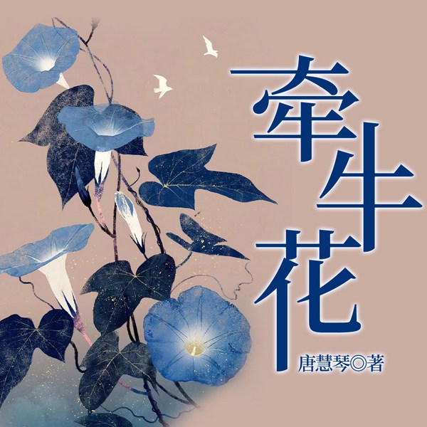 牵牛花|六姊妹》影视同款|家庭伦理&婆媳矛盾