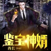鉴宝神婿-佚名-花枝丸丿