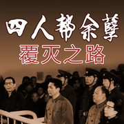 九庄奇闻：改革开放前夜|四人帮-杨润身-大吕说文史