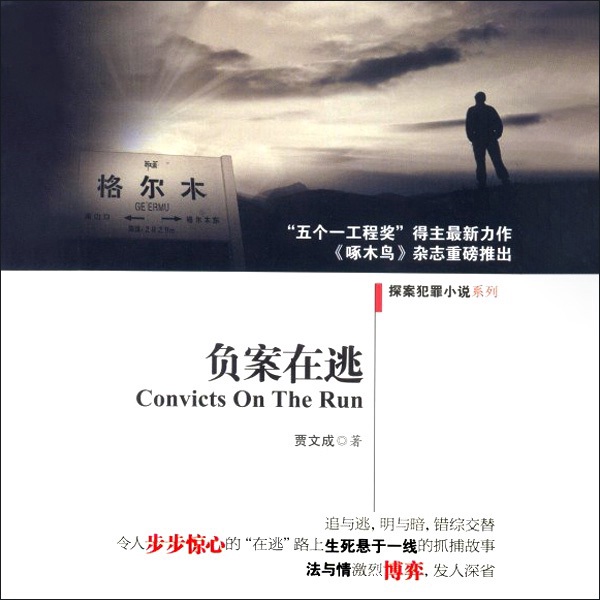负案在逃|中国新警察故事