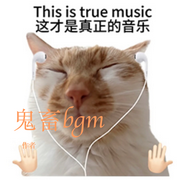 鬼畜bgm-佚名-蛋仔汤音