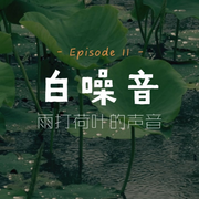大自然的雨声|助眠|减压-佚名-安心音乐