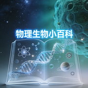 -佚名-厦门青龙马动漫