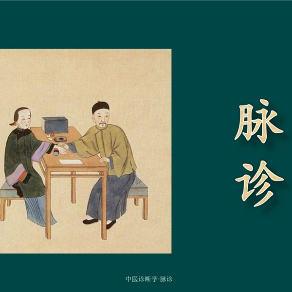 中医脉诊从入门到精通合辑