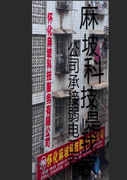 麻坡科技是我家-张美平-麻坡科技