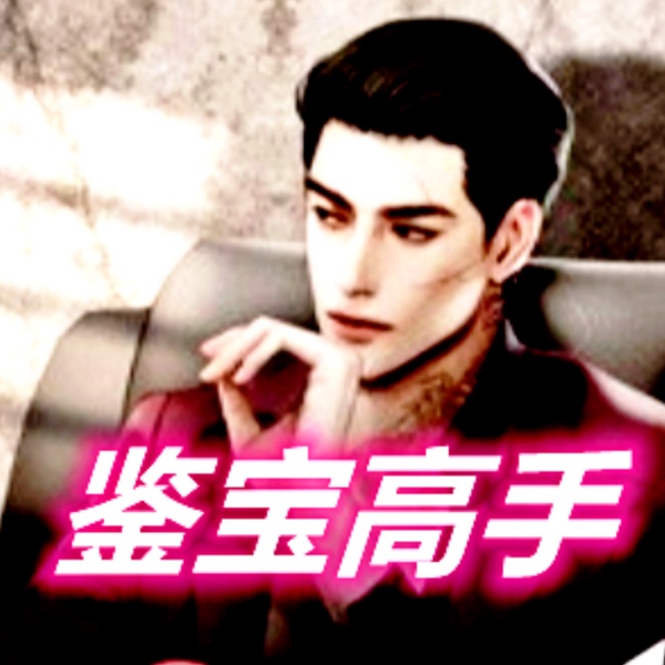 鉴宝高手|重生|赘婿