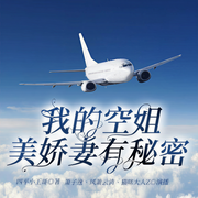 我的空姐美娇妻有秘密|都市爽文-四平小王哥-众创众阅