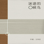 迷途的候鸟-佚名-主播一路听天下