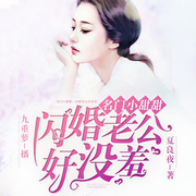 名门小甜甜：闪婚老公好没羞-佚名-果维文化