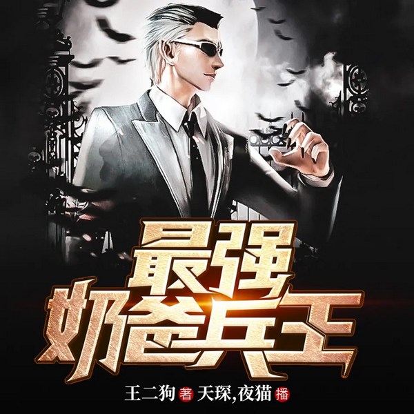 最强奶爸兵王|重生都市|爆笑爽文