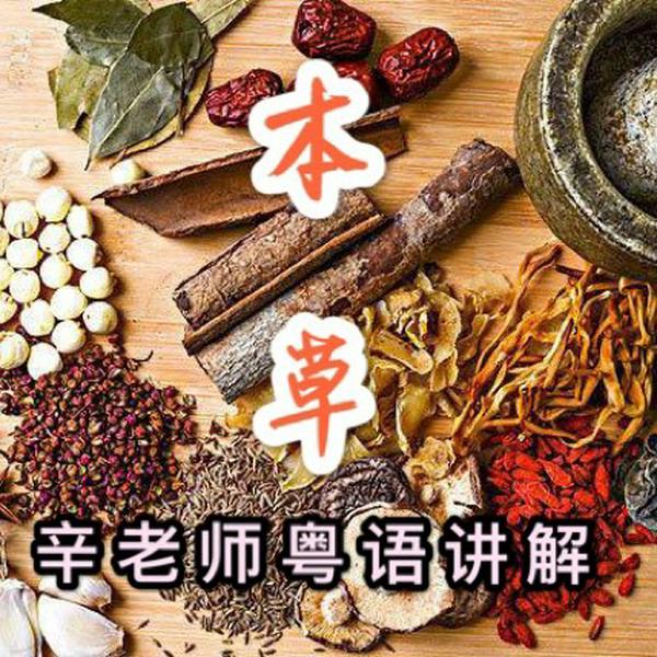 神农本草辛老师粤语讲解