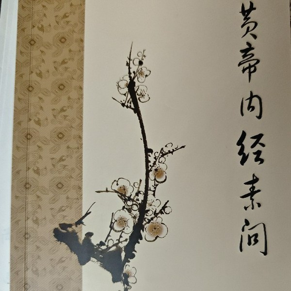 皇帝内经素问
