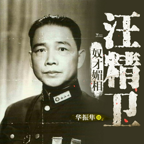 汪精卫传|民国美男的不归路|民国 蒋介石