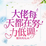 大佬每天都在努力低调|上部完结-糯米肉丸-婉婉_