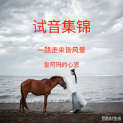 试音-九当家-老登本登