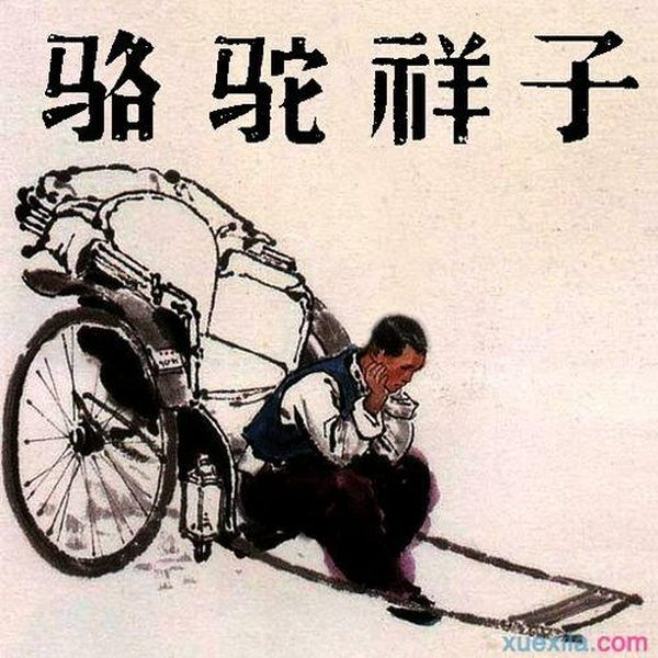 骆驼祥子
