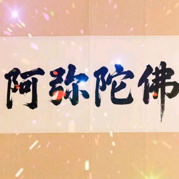 净心音乐合集