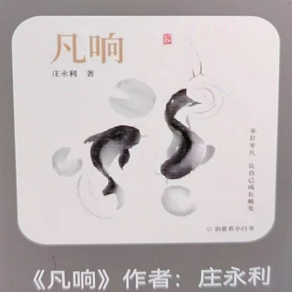 凡响|解忧解压解惑的治愈系小白书|溶洞回声演播