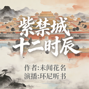 紫禁城十二时辰|紫禁迷局|权谋|九子夺嫡|寒门逆袭-随风-未闻花名