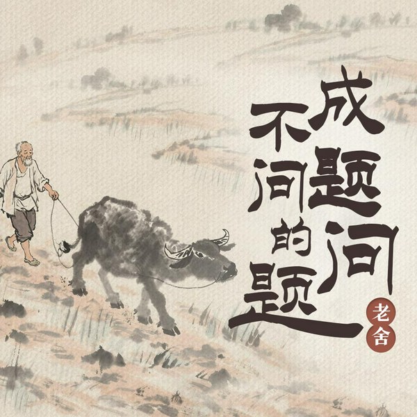 不成问题的问题