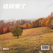 这样爱了-胡文堃-胡文堃