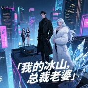 我的冰山总裁老婆