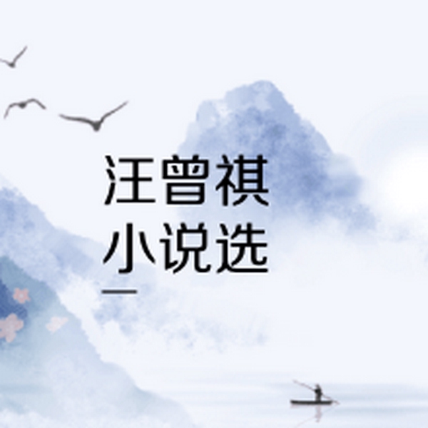 汪曾祺小说选