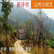 山村小岭主-佚名-老街_zsg