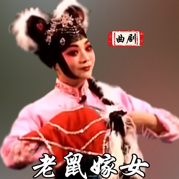 曲剧《老鼠嫁女》|方素珍|刘艳丽|张转社