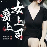 爱上女上司|官场小说|逆袭|新评书|爽文|权谋--钟富庚