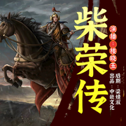 柴荣传|历史评书|五代第一明君|后周世宗|天财星君-佚名-字符舞动