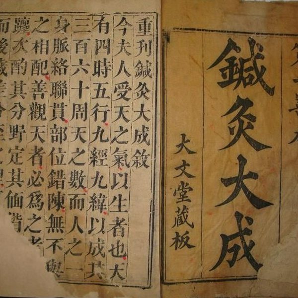 针灸大成|逐段讲解