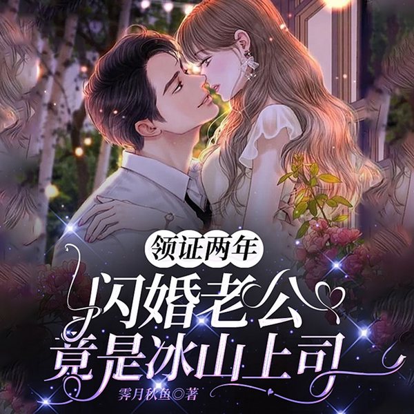 领证两年，他竟是冰山上司