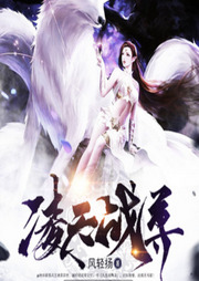 凌天战尊-风轻扬-追光小说