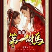 赘婿：第一驸马-布尘-丽声文化传媒
