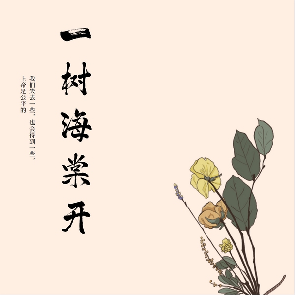 一树海棠开|情景短剧|亘远出品