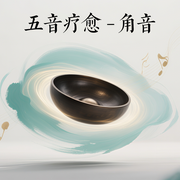 -禅了么-环尼助眠
