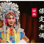 老调|专辑大全-佚名-主播曲艺大剧院